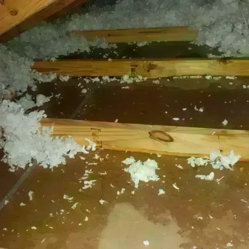 Attic Water Damage in Leilani Estates, HI